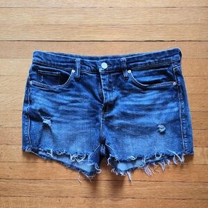 Blank NYC, "The Barrow," Vintage High Rise Shorts, Distressed, EUC, Women's 29
